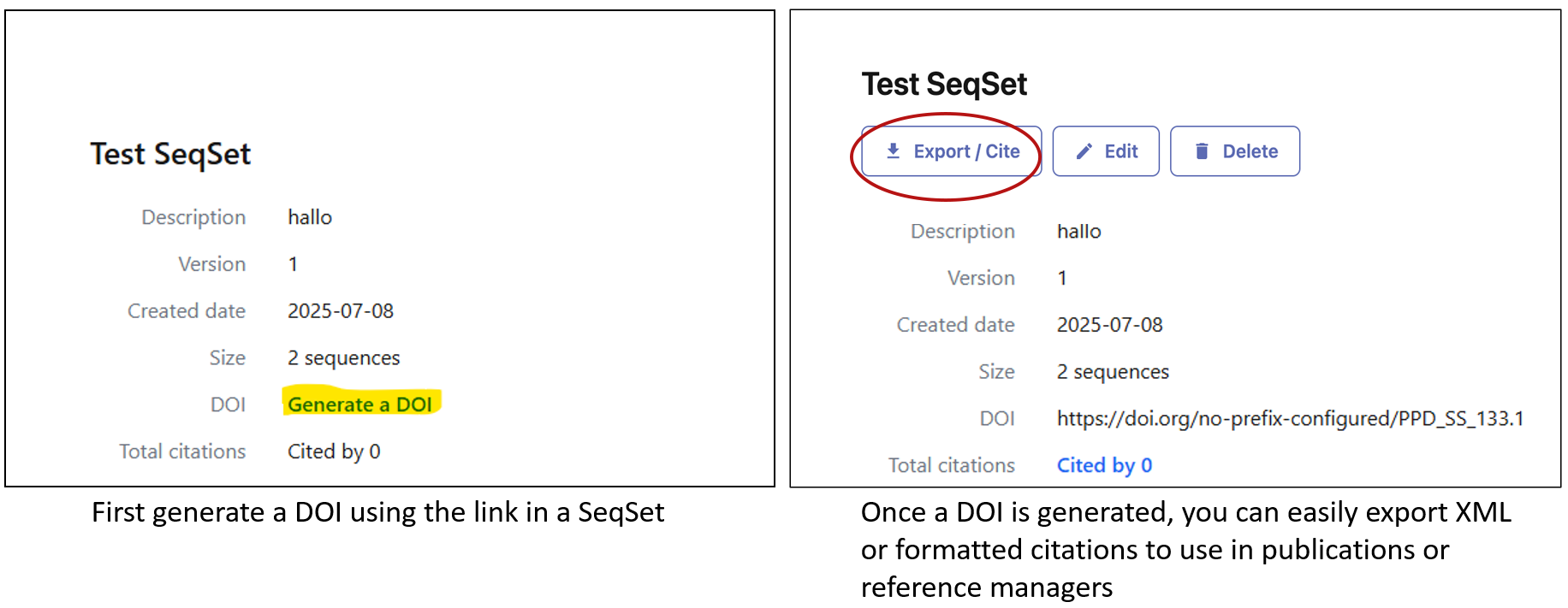Image showing the location of the links to generate and cite a DOI on the SeqSet page